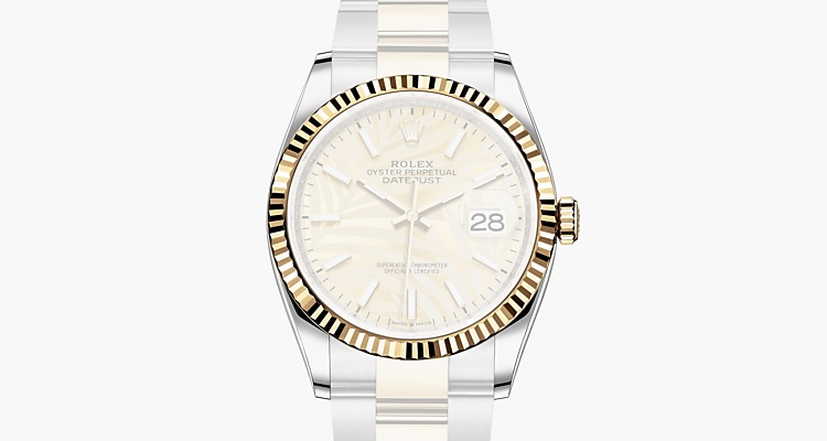 Oyster, 36 mm, acier Oystersteel et or jaune