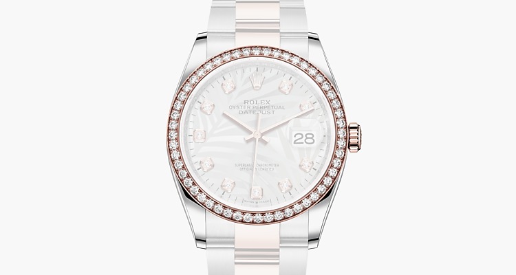Oyster, 36 mm, acier Oystersteel, or Everose et diamants