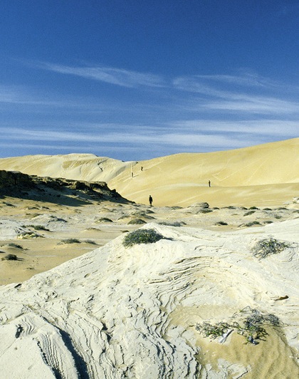 Desert exploration