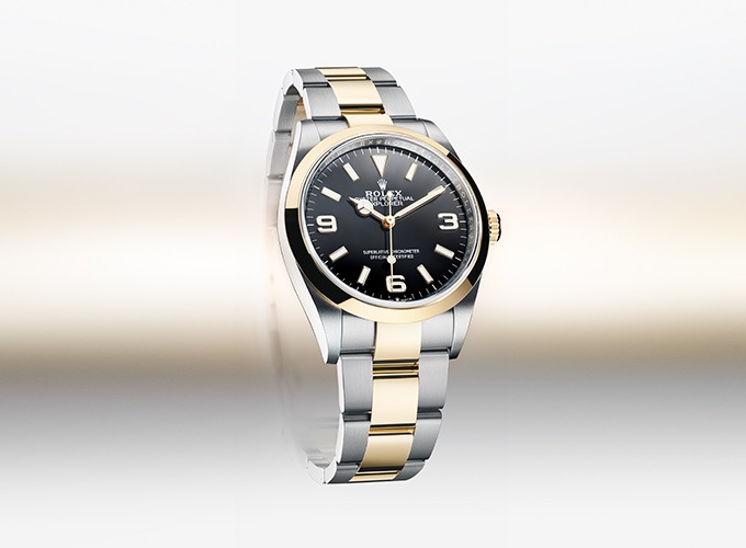 rolex professional watch