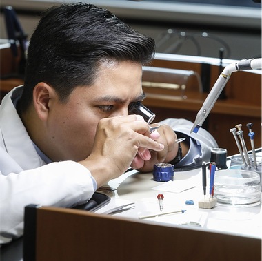 Pelatihan dan pembelajaran Rolex