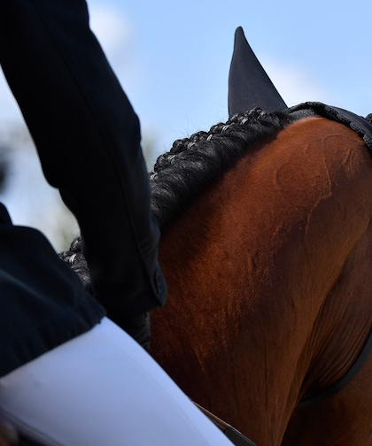 Rolex en paardensport banner