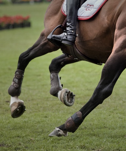 Rolex and Equestrianism Banner